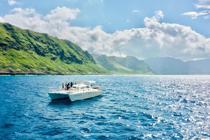 Hawaii: Oahu Dolphin and Sea Life Swimming and Snorkeling Trip  - Honolulu - Just The Basics