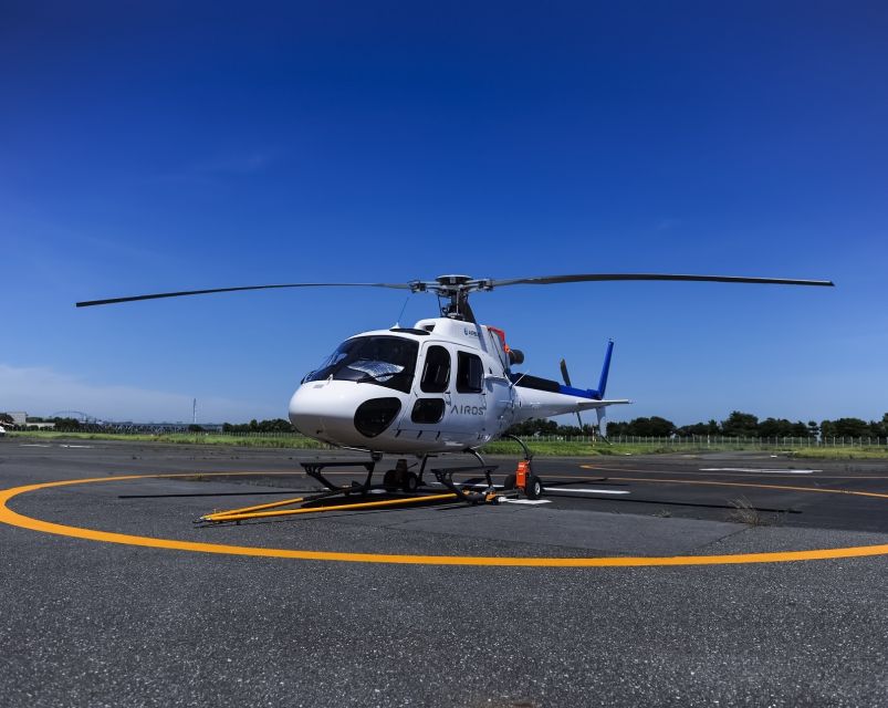 Helicopter Shuttle Service Between Narita and Tokyo - Just The Basics