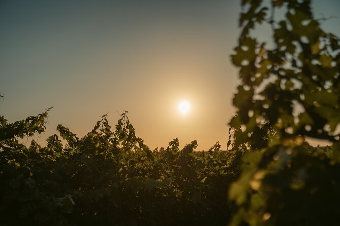 Heraklion Private Half-Day Wine Tasting Tour in Lyrarakis Winery - Just The Basics
