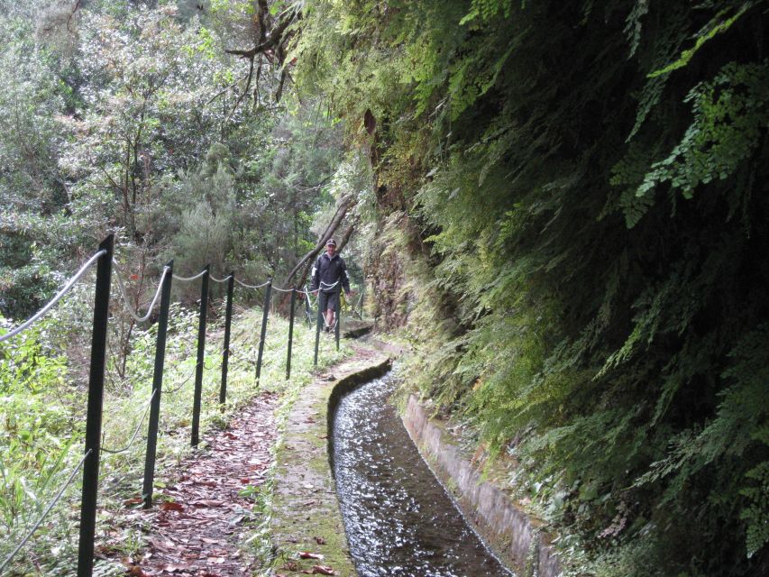 Hidden Corners, the Kings Levada Full Day Hike - Key Points