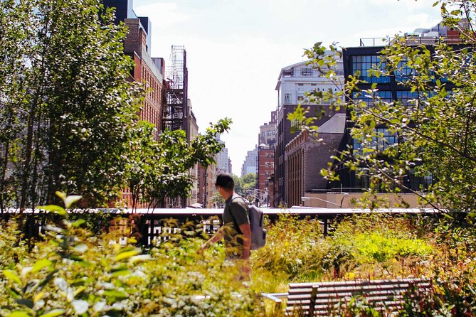 High Line and Chelsea Small Group Tour - Just The Basics
