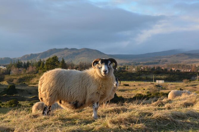 Highland Perthshire and Whisky Day Tour in Luxury MPV From Edinburgh - Key Points