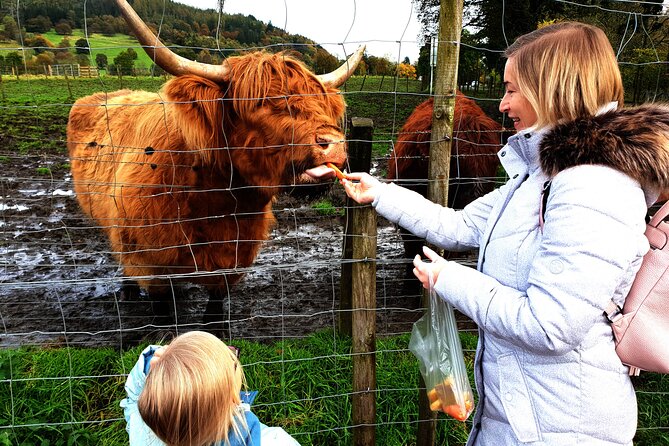 Highlands, Glencoe and Glenfinnan Viaduct Luxury Private Tour - Tour Overview