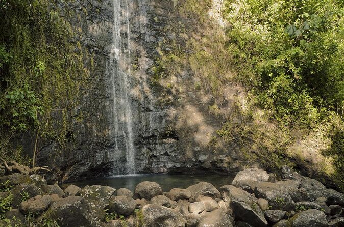 Hike Trail to Waterfall & Nature Walk - Just The Basics