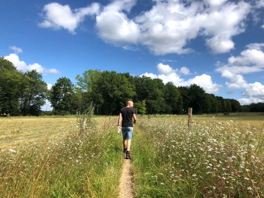 Hikes With a Picnic Backpack in the Ardennes - Key Points