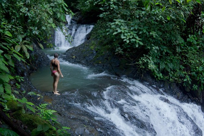 Hiking and Waterfall Tour in Jaco - Key Points