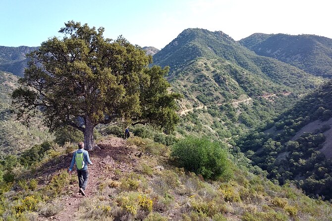 Hiking & Cheese Tasting: Private Tour From Valencia - Key Points