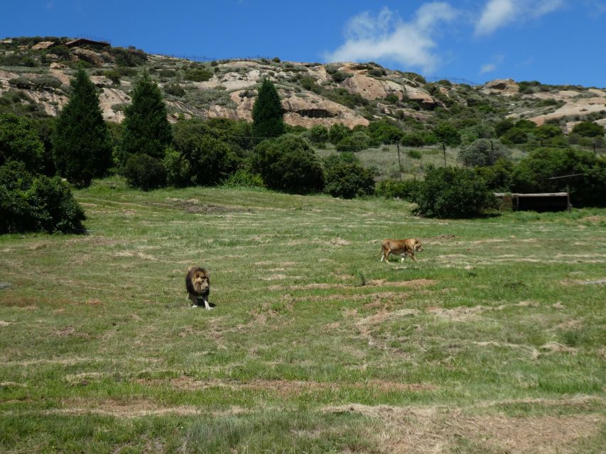 Hiking Trail to the Platform - Key Points