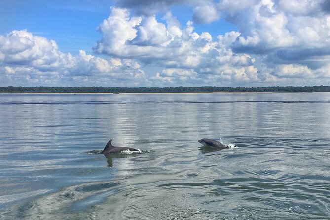 Hilton Head Island Dolphin Boat Cruise - Just The Basics