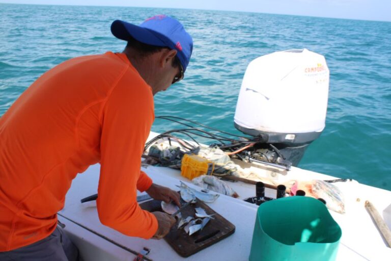 Holbox: Fishing and Sightseeing Boat Trip