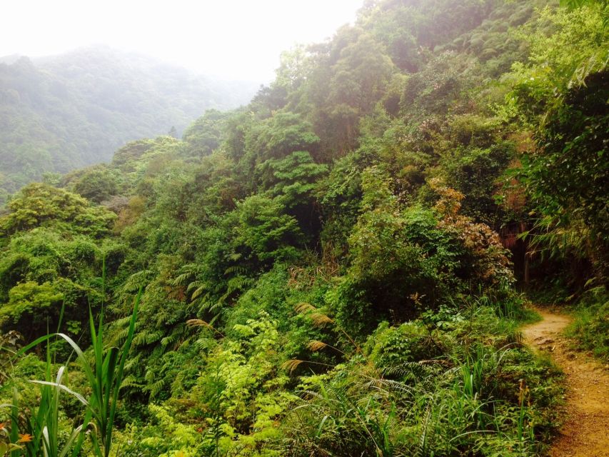 Hong Kong: Tai Mo Shan Waterfall Hike - Just The Basics