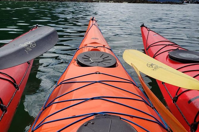 Hoonah Small-Group Kayak Tour (Mar ) - Just The Basics