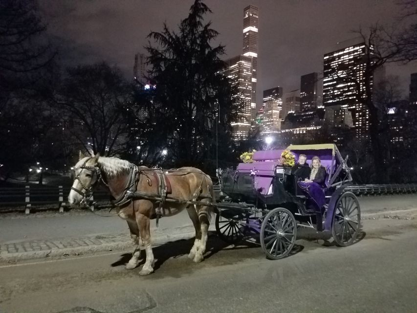 Horse and Carriage Rides Central Park - Key Points