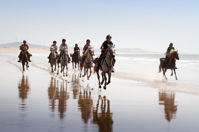 Horse Ride on the Beach in Essaouira - Key Points