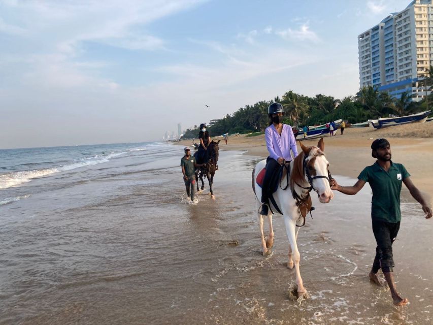 Horse Riding in Mount Lavinia - Key Points