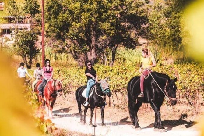 Horse Riding in the Vineyards of Grimaud Wine Tasting - Key Points