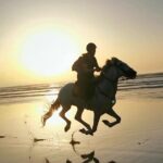 horse riding on the beach of essaouira 2 hours Horse Riding on the Beach of Essaouira 2 Hours
