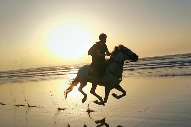 Horse Riding on the Beach of Essaouira 2 Hours