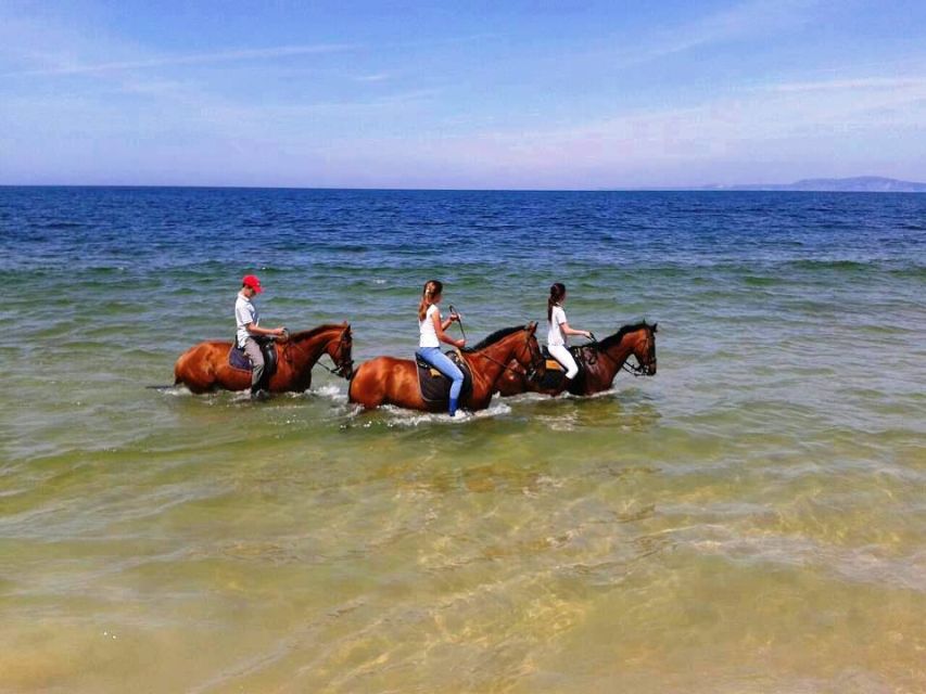 Horse Riding on the Beach With Private Transfer From Lisbon - Key Points