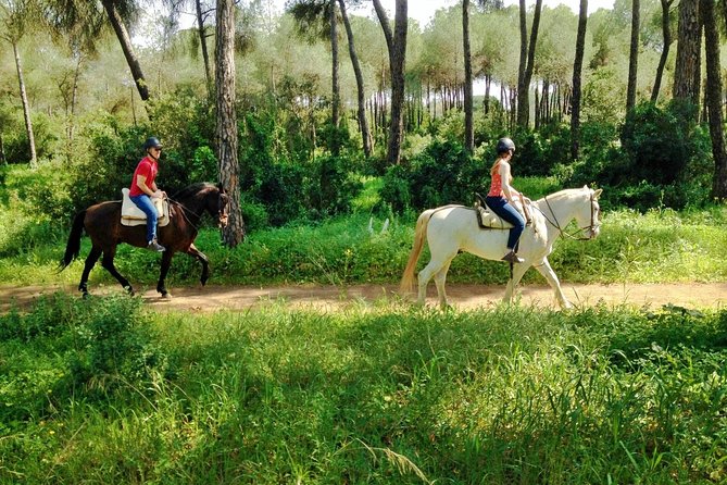 Horse-Riding Tour From Seville (Mar ) - Key Points