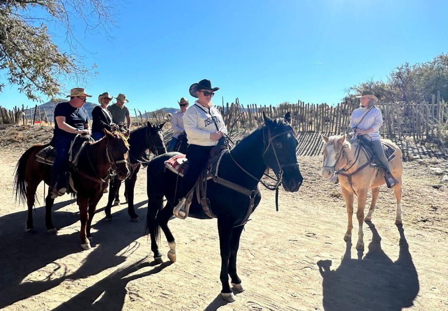 Horseback Ride Thru Joshua Tree Forest With Buffalo & Lunch - Key Points