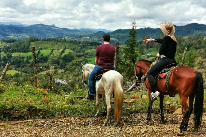 Horseback Riding in Medellin: Private Tour - Key Points