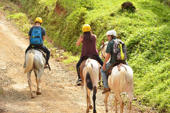 Horseback Riding Through the Jungle - Pickup Details