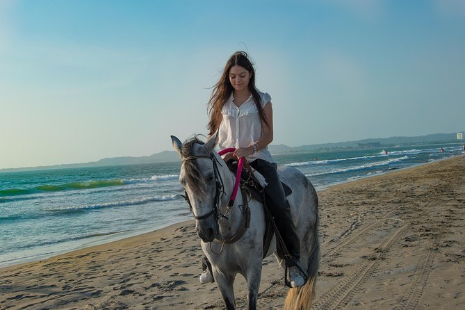 Horseback Riding Tour in Beach of Cartagena - Key Points