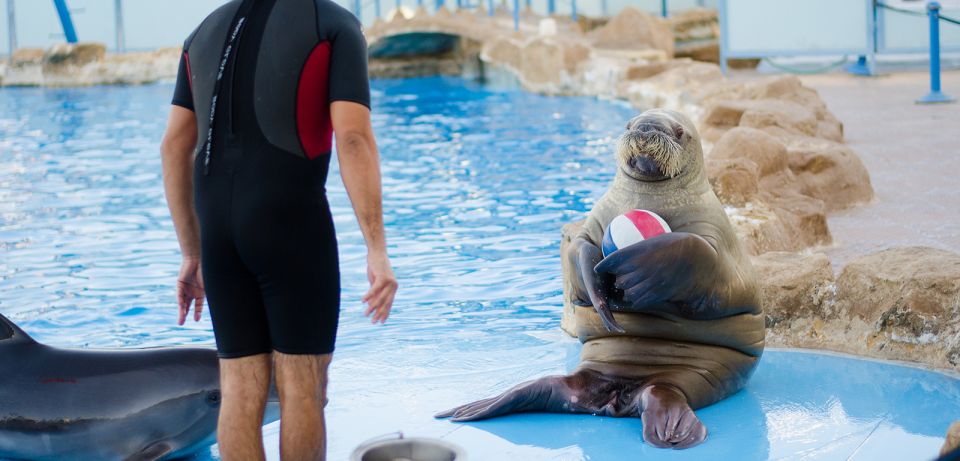 Hurghada: 1-Hour Show at Dolphin World With Optional Pickup - Key Points