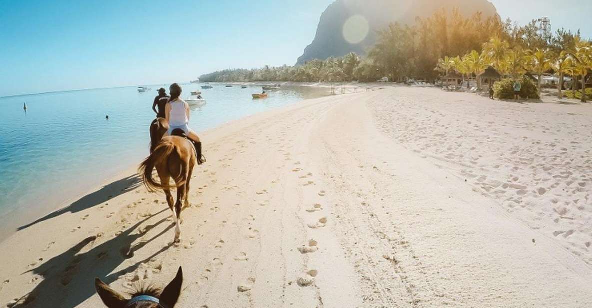 Hurghada: Desert and Sea Horseback Riding Tour With Transfer - Key Points