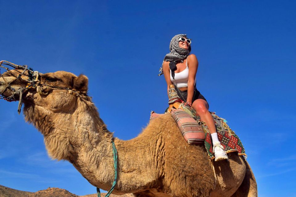 Hurghada: Desert Quad, Bedouin Village, and Camel Ride Tour - Key Points