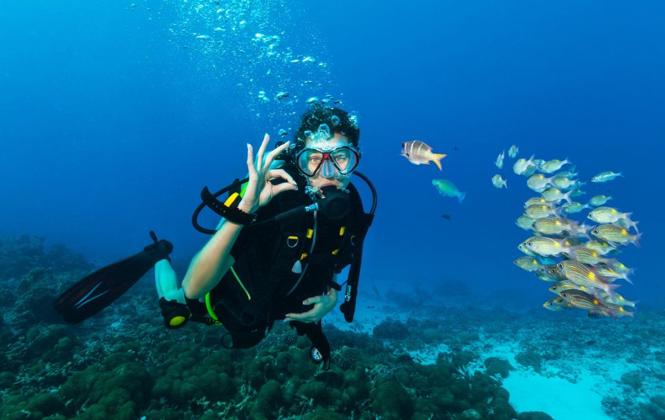 Hurghada: Diving and Snorkeling Tour With Transfers - Key Points