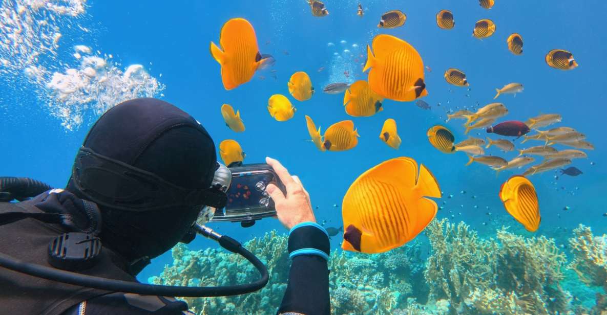 Hurghada: Diving & Snorkeling Cruise Tour W Lunch & Drinks - Key Points