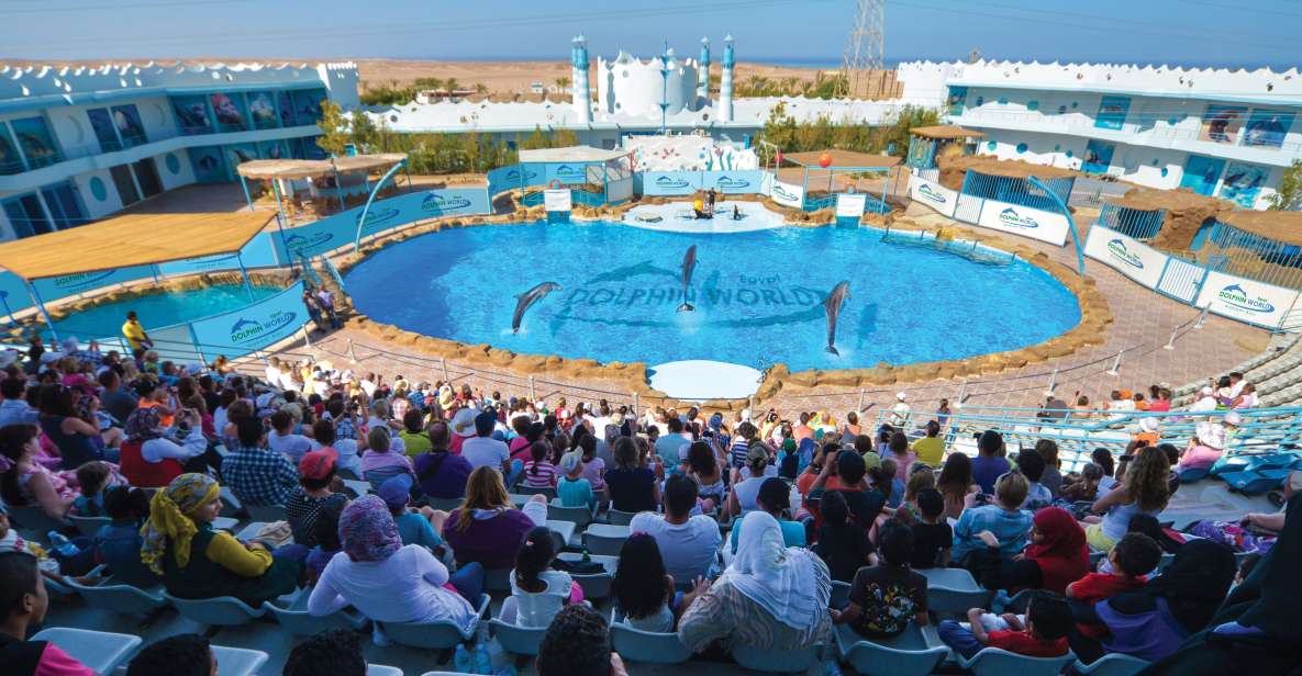 Hurghada: Dolphin World Show With Walruses and Pickup - Key Points