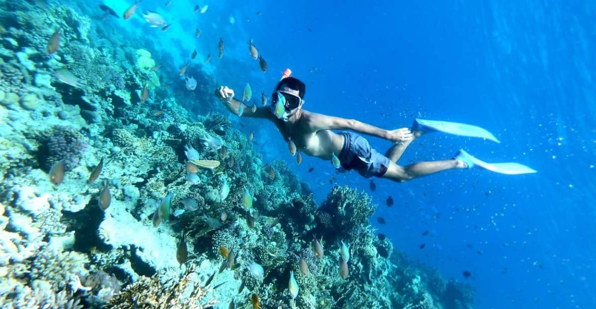 Hurghada: Full-Day Snorkling Trip to Super Utopia - Key Points