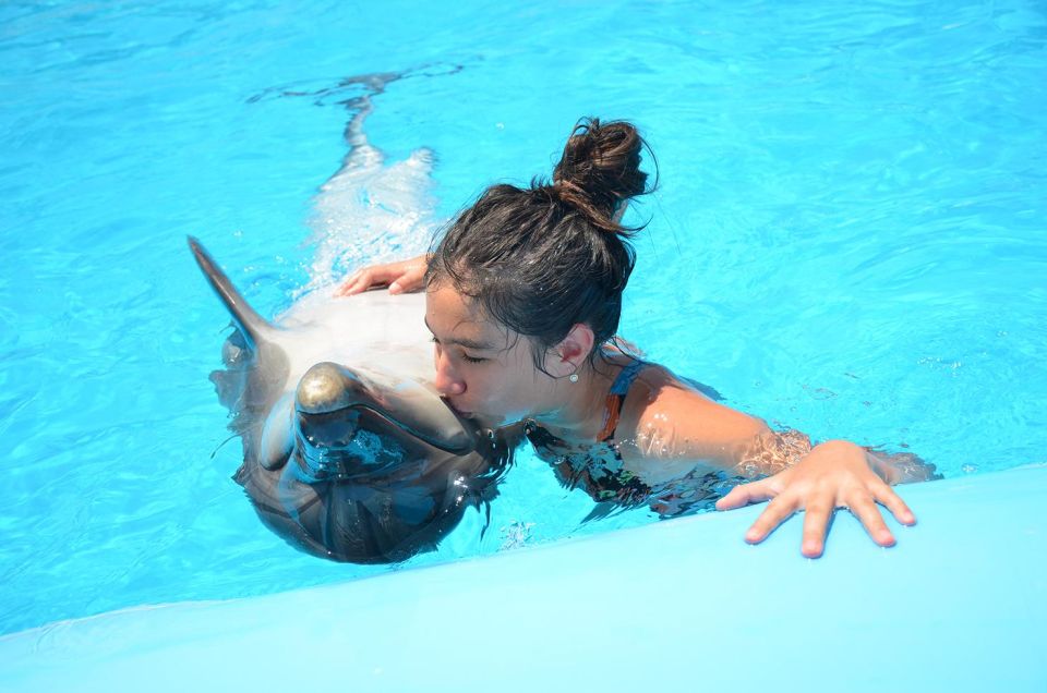 Hurghada/Safaga: Dolphin World Photo Session With Transfers - Key Points