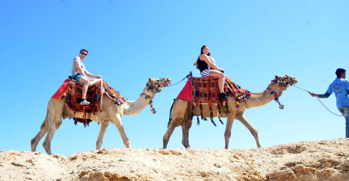 Hurghada: Sea & Desert Camel Ride W/Dinner, Show, Stargazing - Key Points