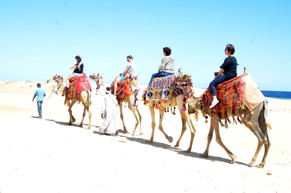 Hurghada: Sea & Desert Camel Ride W/Dinner, Show, Stargazing - Key Points