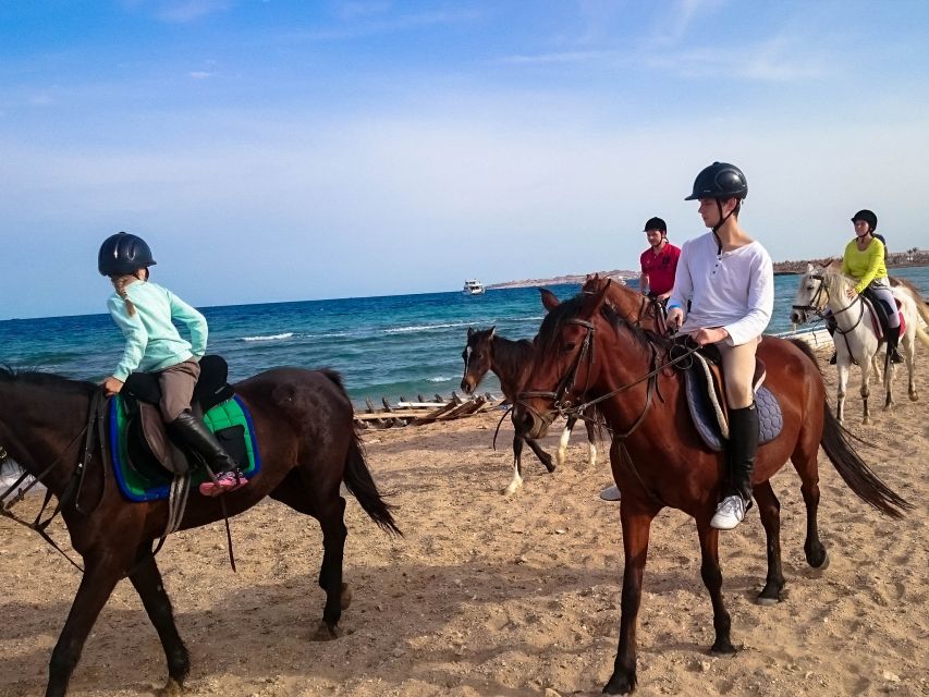 Hurghada: Sunrise Sea & Desert Horse Ride W Opt Breakfast - Key Points