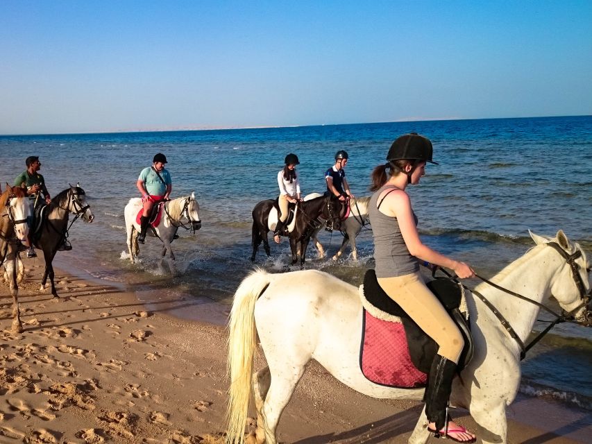 Hurghada: Sunset Sea, Desert Horse W Opt, Dinner, Stargazing - Key Points