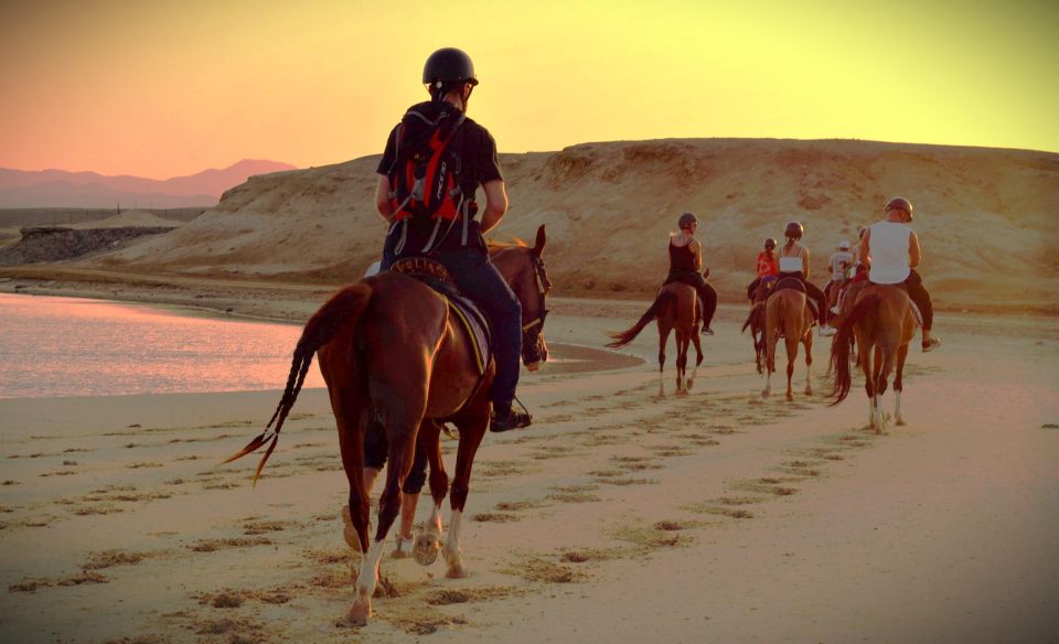 Hurghada: Sunset Sea, Desert Horse W Opt, Dinner, Stargazing - Key Points