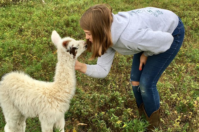 Hyde Park NY, Llama/ Alpaca Hike and Farm Tour  - The Catskills - Key Points