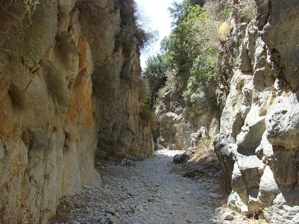 Imbros Gorge and Sfakia Full-Day Hiking Tour From Chania - Just The Basics