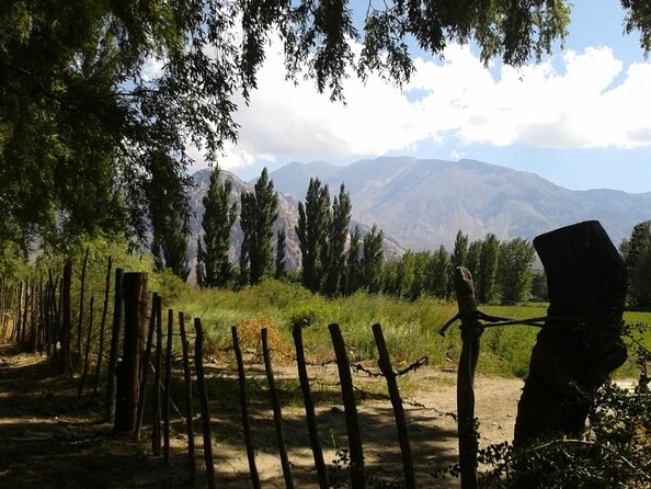 Inca Lagoon in Andes Mountain Range - Visit Local Vineyard With Tasting Included - Key Points