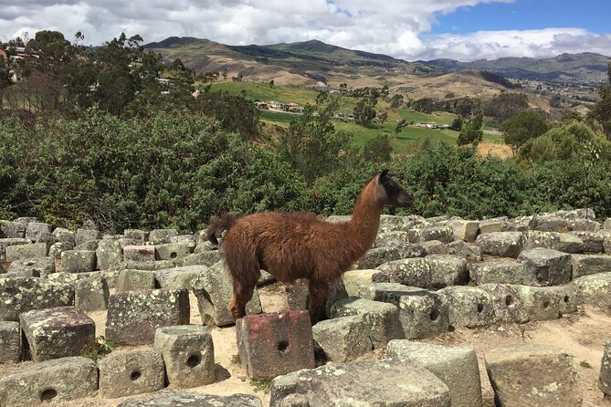 Ingapirca Ruins & Inca Mountain Face Tour From Cuenca With Small Group - Key Points