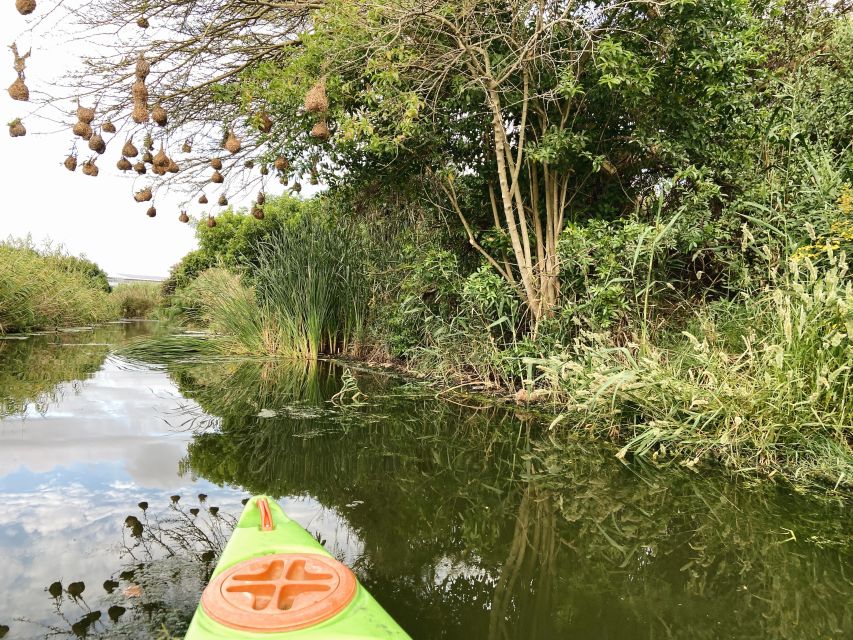 Intaka Island Kayak Tour - Activity Details