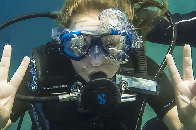 Introductory Scuba Diving Experience for Beginners  - Fréjus Saint-Raphaël - Key Points
