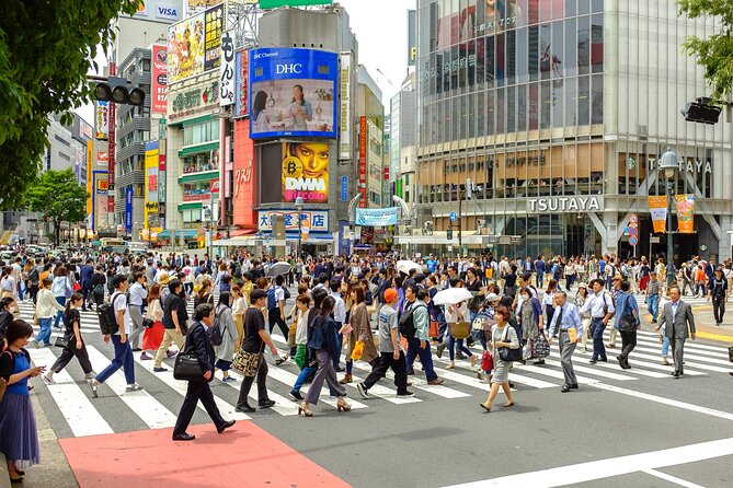 Introductory Tokyo Tour for the First Timers: Learn Basic Travel Tips and Tricks - Key Points