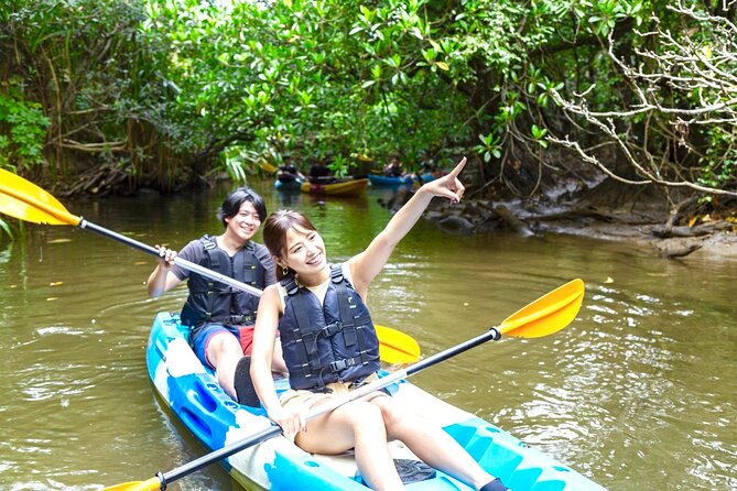 [Iriomote]SUP/Canoe Tour at Mangrove ForestSplash Canyoning!! - Just The Basics