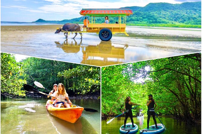 [Iriomote]Sup/Canoe Tour Sightseeing in Yubujima Island - Key Takeaways